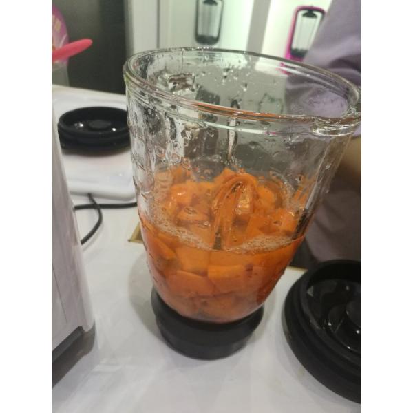 OZEN Vacuum Blender / Vidia Vacuum Blender/ Kuving vacuum blender / Vacuum storage bottle /BPA FREE Manufacture BL-2016