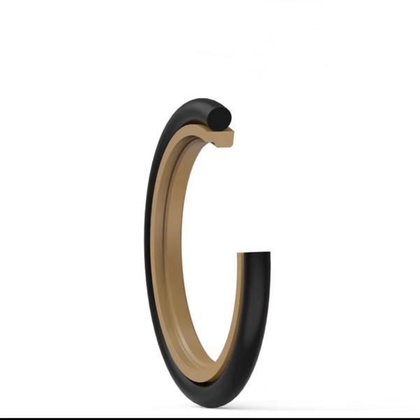 FKM Sceau à huile résistant à l'usure et à la corrosion pour les applications à haute pression