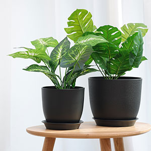 Multi Drainage Holes, Plastic Black Square Plant Flower Nursery Pot, Planter Plant Flower Seedling Nursery Pots