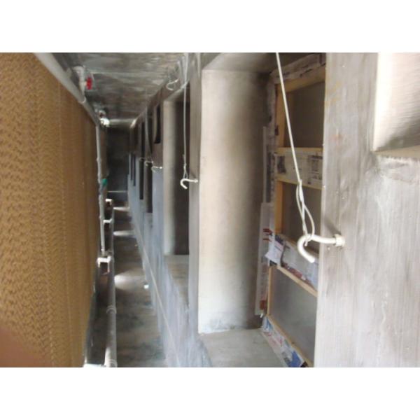 industry/greenhouse/poultry house ventilation fan with CE certification