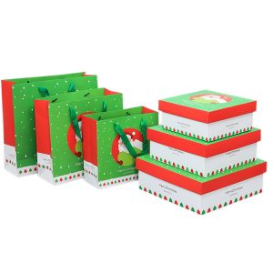 Custom Printed Paper Shopping Bags And Foldable Paper Boxes With Design