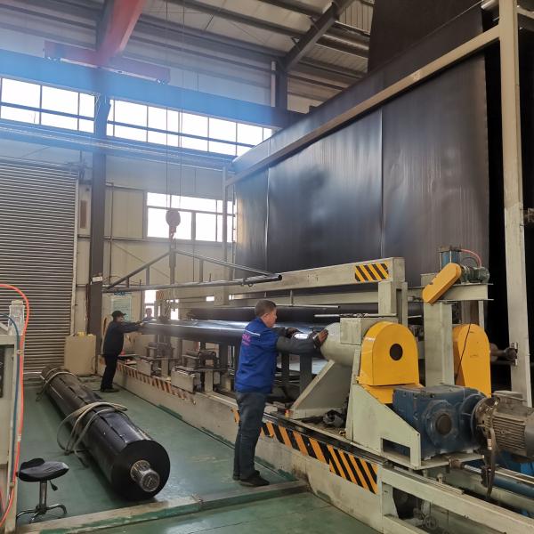 Геомембрана из 1 мм HDPE для рыбной фермы