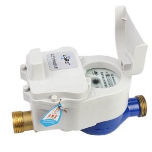 Remote water meter