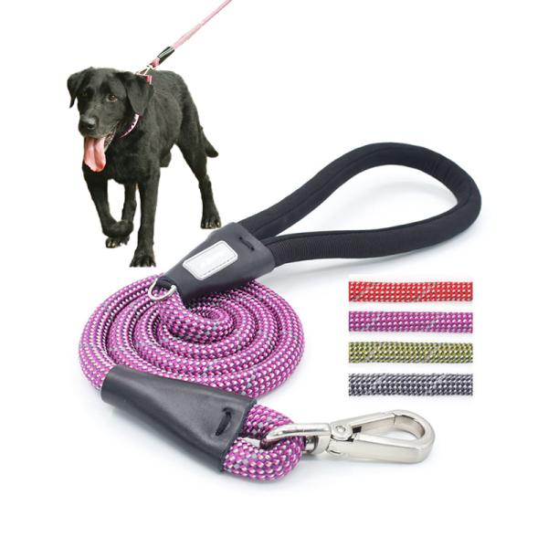 Purple Dog Walking Leash Colorful Pet Walk Running Nylon Slip Lead Double Rope
