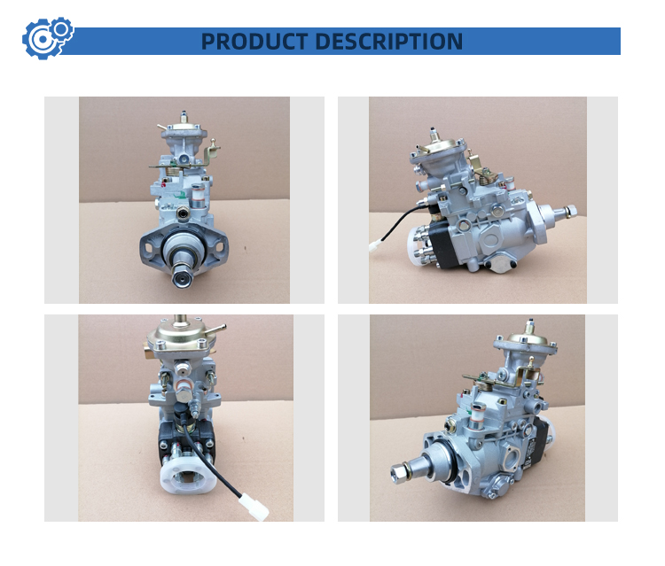196000-3070 VE6/10F1900RND307 22100-1C241 Auto Parts Injection VE Fuel Pump Assembly for TOYOTA