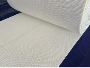 Tissu de fabrication de matériel tissé par polyester de bande de conveyeur de