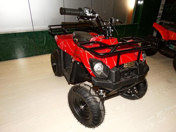 49cc New Model small ATV,2-stroke.air-cooled.hot sale models in Eurpoe.good quality.