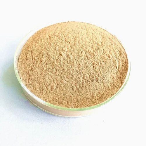 Fully Water Soluble Organic Amino Acid Powder Based Fertilizer for Soil Health
