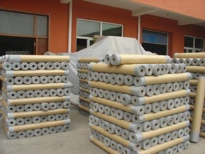 Factory Cheap Reinforcement Security Fly Screen Mesh for Windows