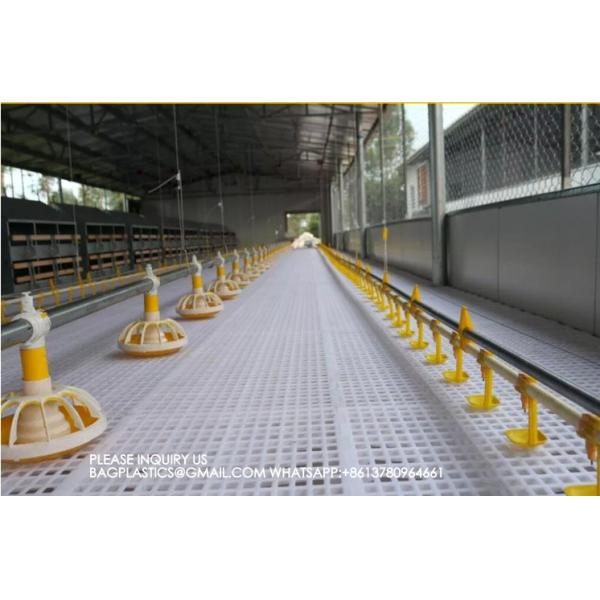 Agricultural Products Automatic Chicken Feeder Agricultural Greenhouses Animals Feeder