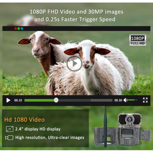 Отсутствие камеры водоустойчивого Ip65 4g 0.25s GSM MMS следа зарева 0.26s 4G