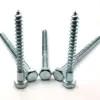 O fornecedor DIN571 dos prendedores galvanizado ou de aço inoxidável encanta o treinador de madeira principal Screw do parafuso de retardação do parafuso