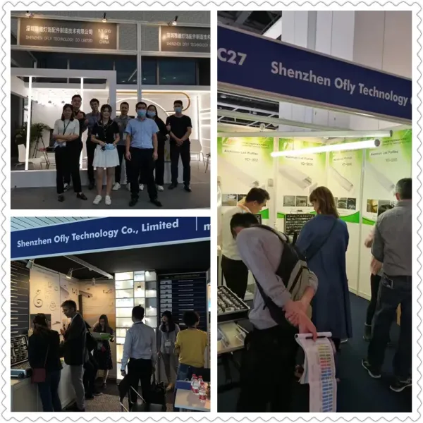 Customized Temperature 12V/24V IP20-IP68 LED Strip Lighting Flexible LED Strip Lights