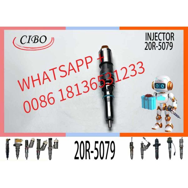 High Quality Diesel Fuel Injector C9.3 456-3493 20R-5036 367-4293 20R-5079 for  Excavator Engine EXCAVATOR PART