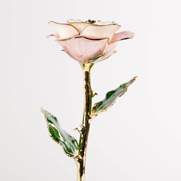 24k Gold Plated Rose Dark Blue Eternal Rose Gift Manufacturer Wholesale Valentine's Day Christmas Creative Ornaments