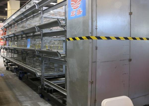 Low Noise Cage Holding Poultry Q235 Standard Steel Material Long Usage Life