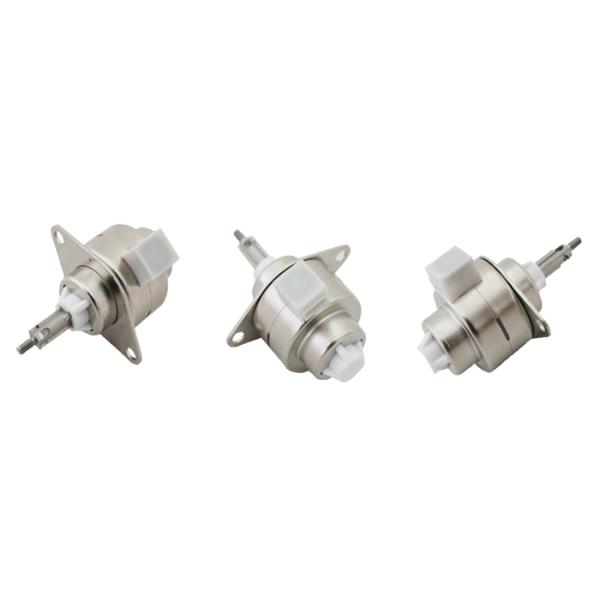 мотор мотора 24V линейного привода низшего напряжения 12V 25mm после полудня мини плененный Stepper мини линейный шагая для автоматизации работы офиса