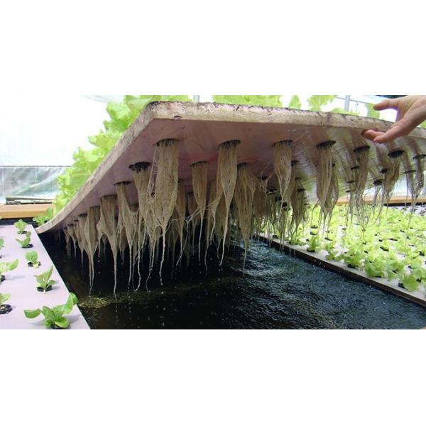 Wholesale high density soilless agriculture  PVC Hydroponic Tower