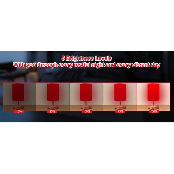 Remote Control Red LED Therapy Light Square 670nm Red Light 24W With Timer