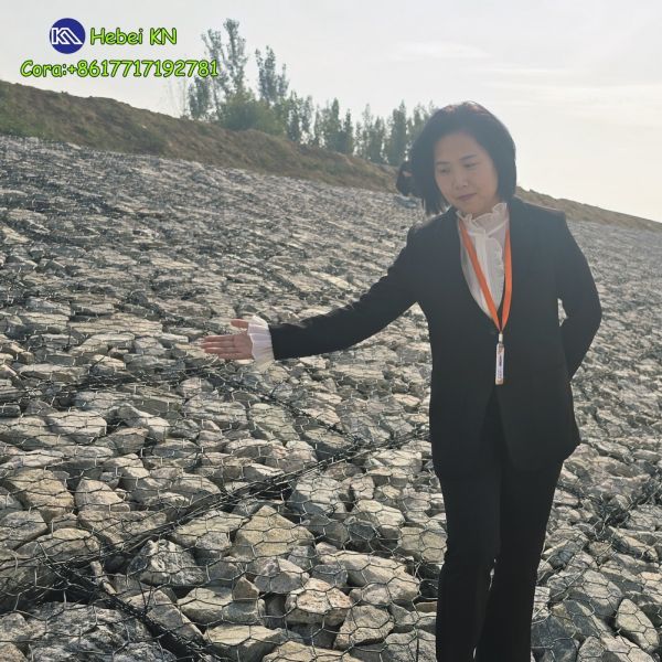 PVC Coated Zn-Al5% 2.7mm Weave Hexagonal Double Twisted Gabion Basket Cage For Flood Erosion Control