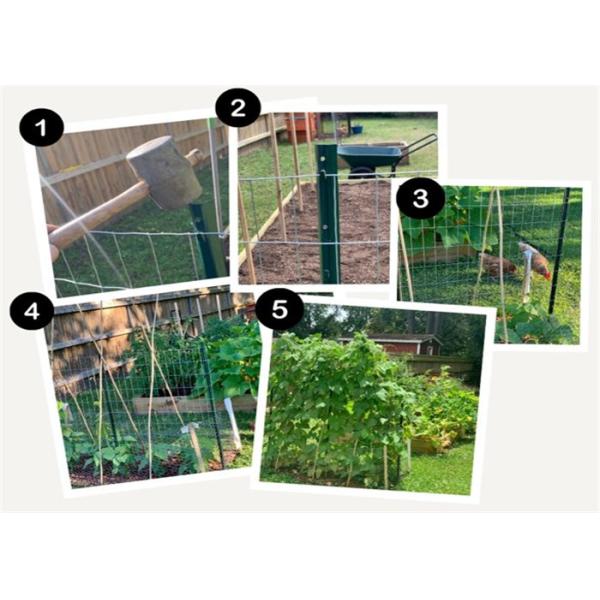 1.5mm Thickness Garden U Type Fence Post Green 8ft Length