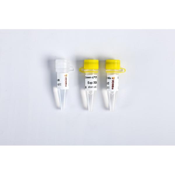 SYBR Зелёный qPCR смешивать высокий ROX+ для ABI ДНК в режиме реального времени PCR 5 мл