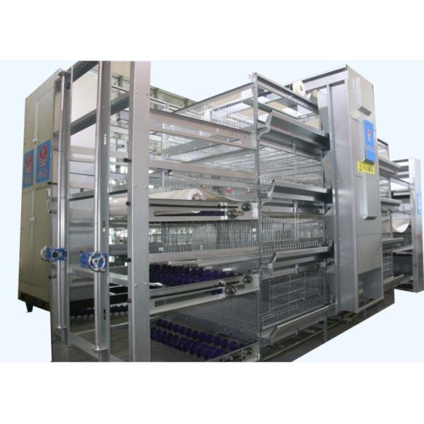 Custom Commercial Poultry Watering Systems Automatic Cup Style Poultry Chicken Drinkers