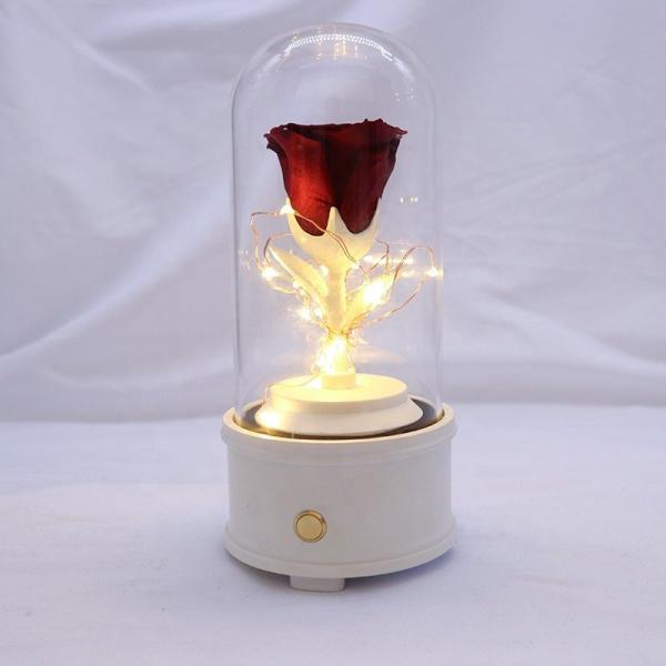 100% Natural Fresh Preserved Rose Glass Dome For Wedding Decoration