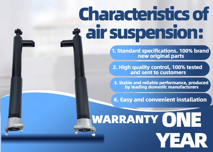 C218 2183200230 Air Suspension Repair Rear Shock Absorber For Mercedes