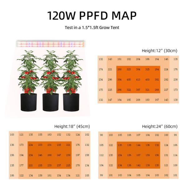 Lumière LED à spectre complet entre rangées bleue rouge 120w sous le canopé pour les plantes d'intérieur