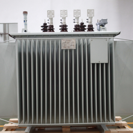 315kVA 10kV Oil Immersed Distribution Transformer S(B)22-NX1 Energy Efficiency Level 1
