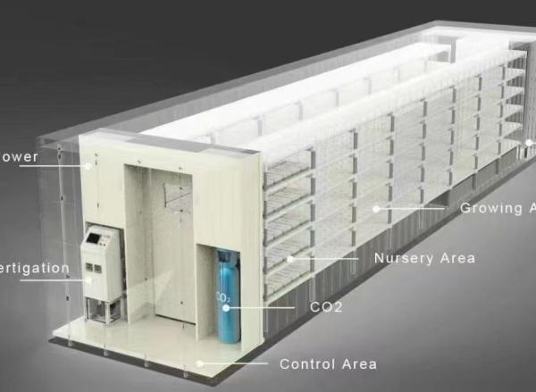Material de cobertura de aço Sistema de contêineres hidropónicos verticais de cultivo para telhados em forma