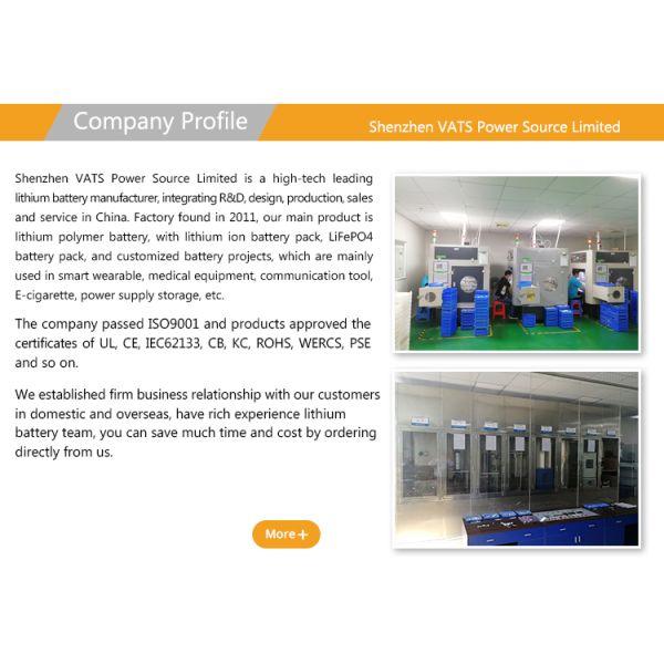 2700mAh High Capacity Lithium Polymer Battery with Customization Samples and PCB Protection