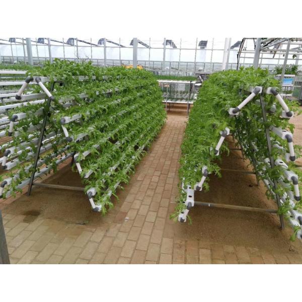 100 мм*50 мм экологически чистые пластиковые трубки для гидропонного выращивания овощей в аквапонике