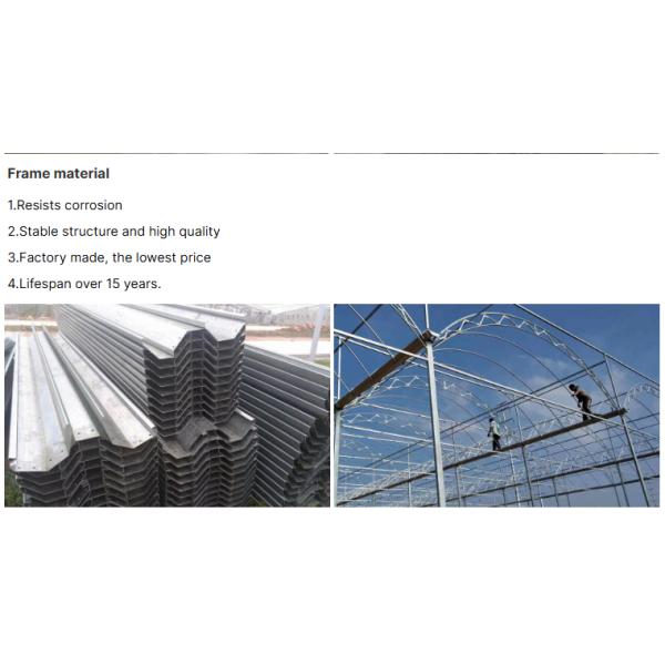 Taille commerciale Serre multispan Serre à protection UV