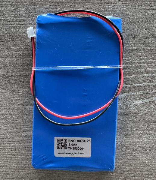 Uso del vehículo de Ion Battery Deep Cycle LiFePO4 del litio de la bici 12V de E