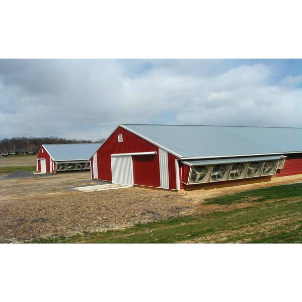 Estilo de design de armazém industrial Estrutura de aço pré-fabricada Abrigo de fazenda de frangos