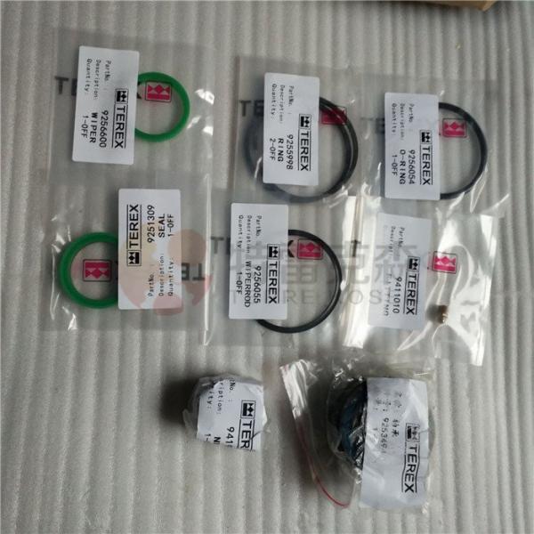 TEREX 9394715 seal kit for terex TR35A truck parts NHL parts