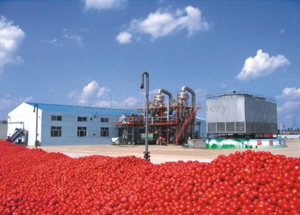 UHT Sterilizing Tomato Paste Production Line For Apple Jam / Shea Butter / Red Pepper Paste