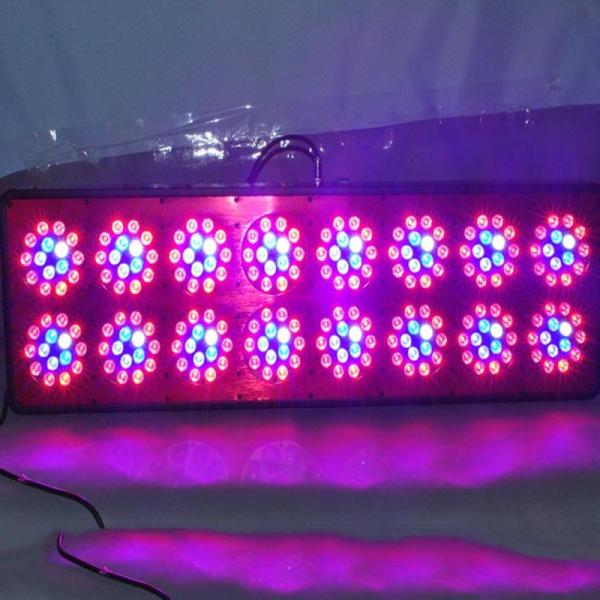 600W Full spectrum LED grow light from Cidly use for 1000W HPS grow tent system