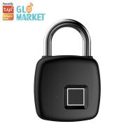 Fechadura da porta esperta de Mini Digital Electronic Tuya Smart do cadeado da impressão digital da segurança impermeável