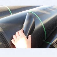 L'anti infiltration a donné au revêtement une consistance rugueuse 30 mil d'étang de Geomembrane de polyéthylène