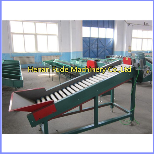 Apple grading machine, dragon fruit grading machine,nion sorting machine, tomato grading machine