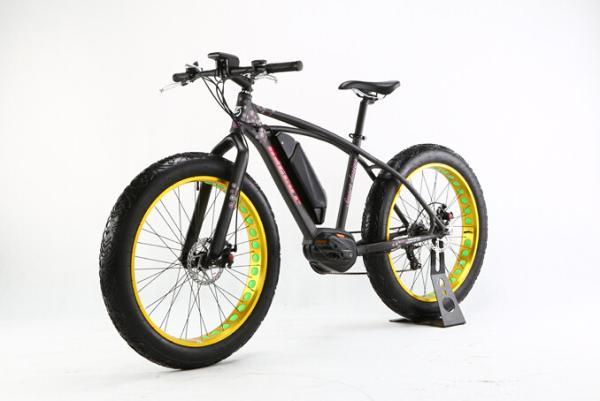 48V 10Ah Fat Tire Mountain Electric Bike 350W  Electric Powered Mountain Bike