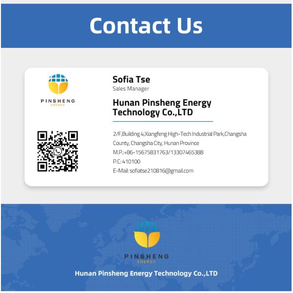 Аккумулятор для велосипеда Pinsheng Folding Paselec Ebike спрятал 10ah 48v по индивидуальному заказу