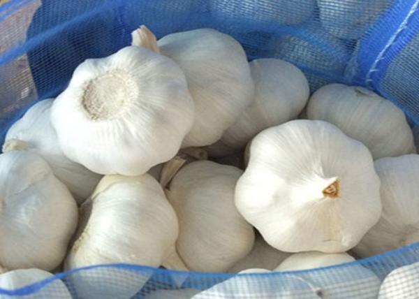 6.0cm Fresh Normal Garlic Natural Agricultural Products