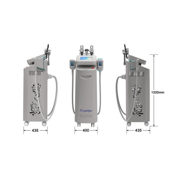2019 Most Popular Smart Freezing Cryolipolysis Machine for Weight Loss/Plastic Surgery