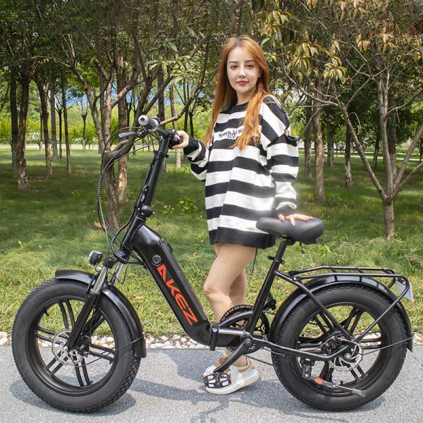 40km/H Lightweight Electric Folding Bike Lithium Battery LED Display
