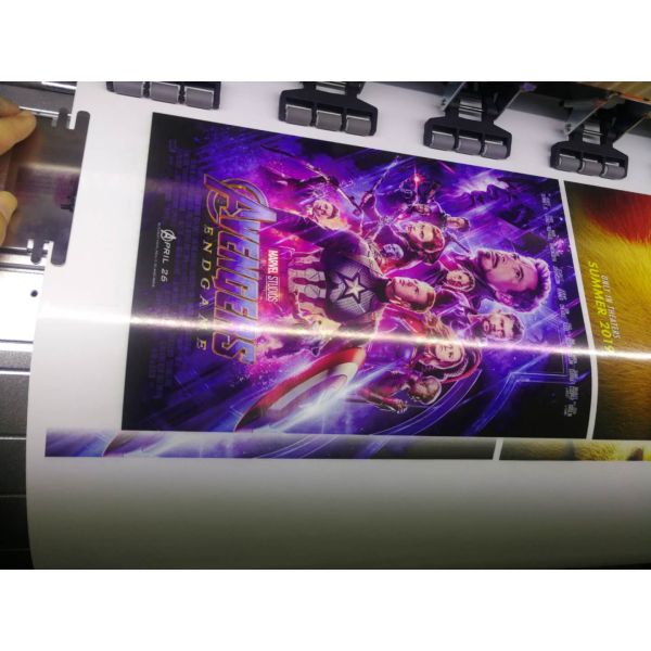 Fcolor Eco Solvent Ink for Epson I3200 DX5 DX4 DX7 Printhead Mutoh Roland Mimaki