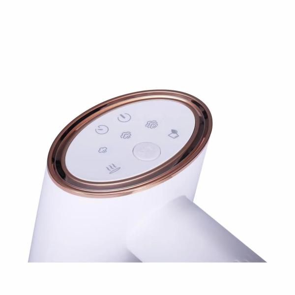 Portable Ironing Machine for Ningbo Market Electric Power Source Detachable Water Tank